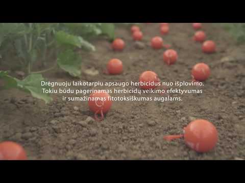 Paviršiaus aktyvioji medžiaga - Grounded