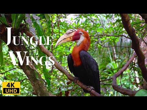 Unseen Secrets of the Jungle: Rare Birds and Wild Animals in Action