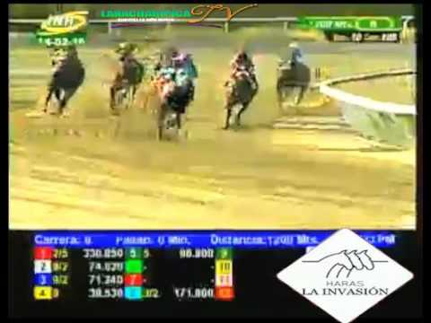 LA RINCONADA 8 CARRERA, DOMINGO 14 DE FEBRERO DEL 2016