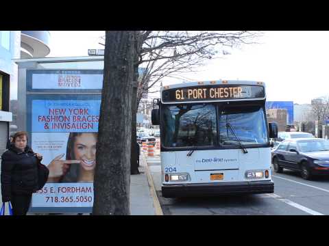 Ônibus Bee-Line: Port Chester com destino a Orion 7 [#204] Rota 61 em Fordham Plaza