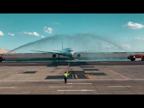 FIRST INDIAN WEDDING IN EGYPT  | DHRUTI  &  ARJUN | BY TRUE EVENTS