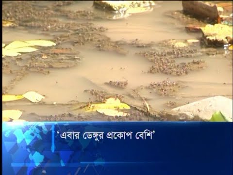 এবার ডেঙ্গুর প্রকোপ বেশি