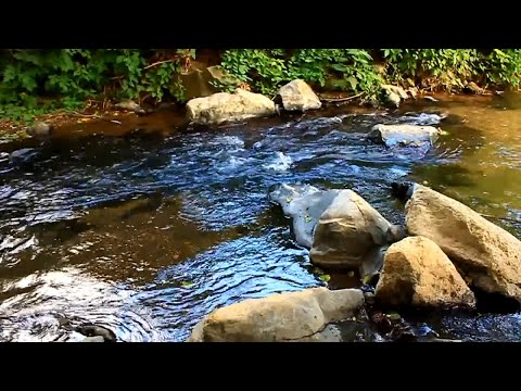 The Beauty of the Nature 4K Scenic Nature Documentary "Beautiful Washington"/Autumn Nature Scenery