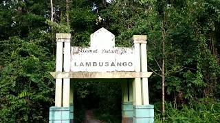 preview picture of video 'Camping di Hutan Lambusango'