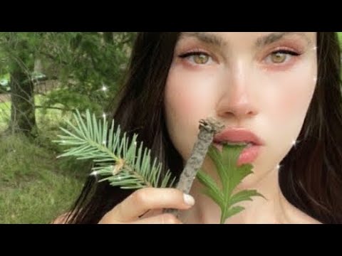 what 12D pleidian starseeds eat in a day