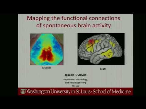 Joe Culver Hot Topics presentation: Functional optical imaging of the brain