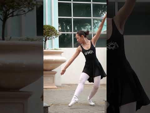 O Circuito da Dança  tá chegando