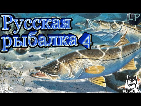 Фото 🔴рр4/Русская Рыбалка 4/Russian Fishing 4 Общение + фарм🎣№52