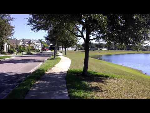 Orlando Florida 01.06.2017 - Beautiful day in the hood. Windermere winter :-)