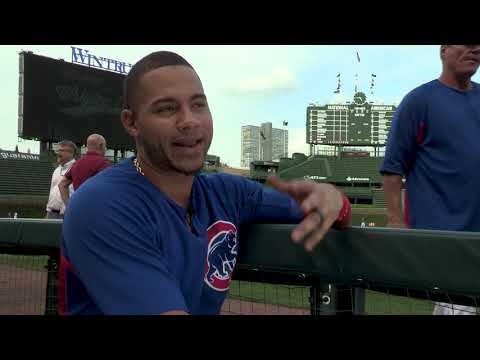 Player Profile | Willson Contreras