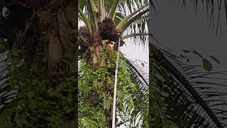 Download lagu Tetep semangat walaupun hujan mp3