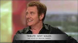 Alvin Stardust Funeral