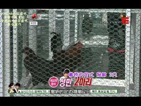 [ 中字 ] 111130 f(Victoria) 最強CP - 3/4