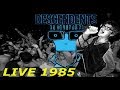 Desendents "Suburban Home / Good Good Things" Live Video 1985 with Lyrics