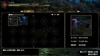 モンハンライズ　その4　里クエスト★2～3の大型