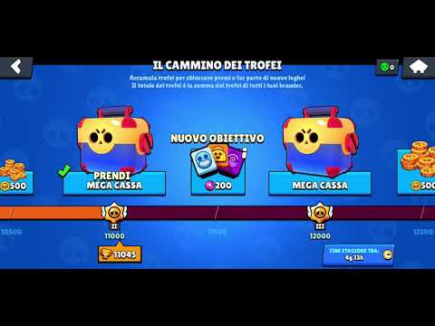 Trovo 7 skip in una mega cassa.