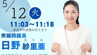 2026.5.12.国民民主党日野紗里亜衆議院議員の地こデジ特別委員会質疑