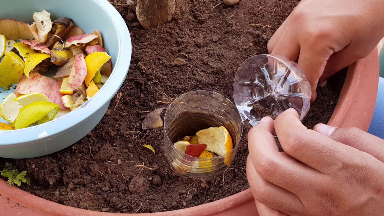 Faça uma composteira para qualquer planta em 10 minutos | como fazer adubo organico em casa