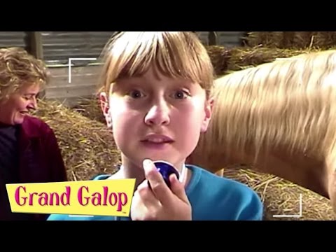 Grand Galop - La Naissance d'un poulain et Le Cheval volant | Grand Galop Saison 1
