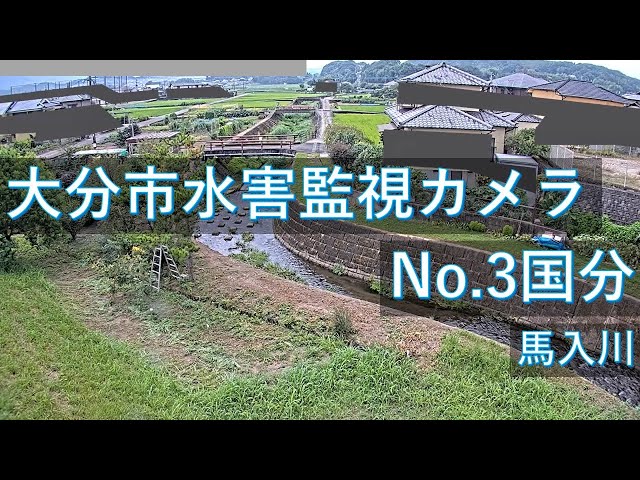 国分 馬入川