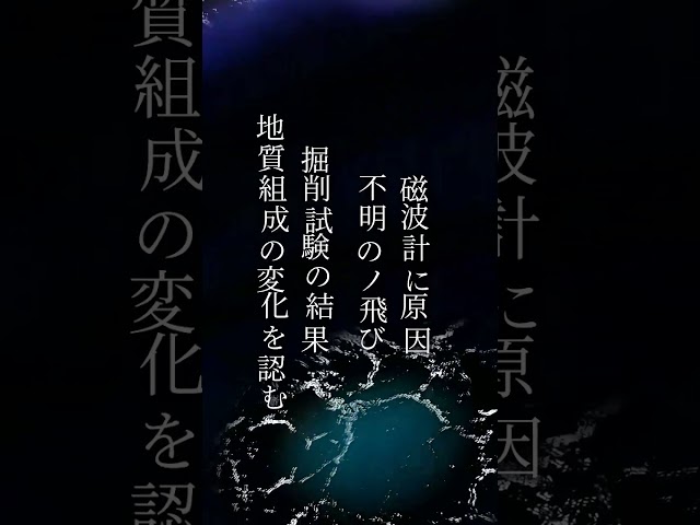事後調査報告：デカトリア事象よりマイナス７９日