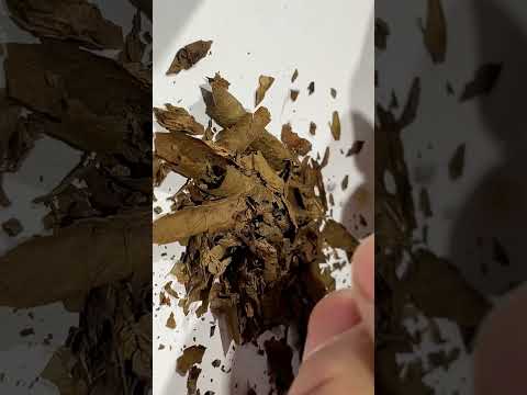 La conspiración 2012 Pedro Olea. Película completa.