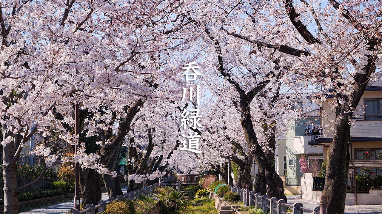 [Sakura] Nomigawa Ryokudo