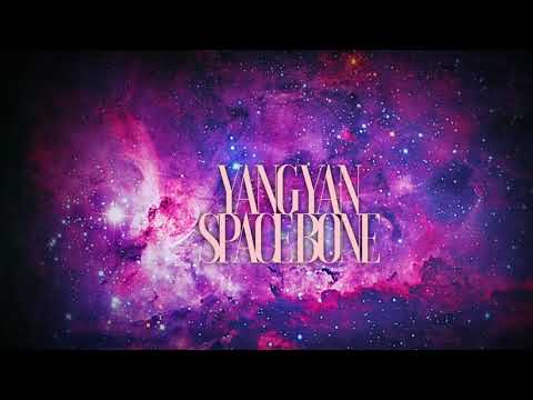 YANG YAN - BOHATSTVÍ NEBO LAVICE