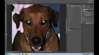 Photoshop Tutorial - How to remove green eye from a photo