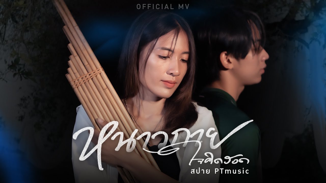 เนื้อเพลง หนาวกายใจคิดฮอด สปาย PTmusic