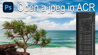 How to open a jpeg in Adobe Camera Raw