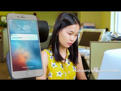 PetSafe® Smart Feed Video