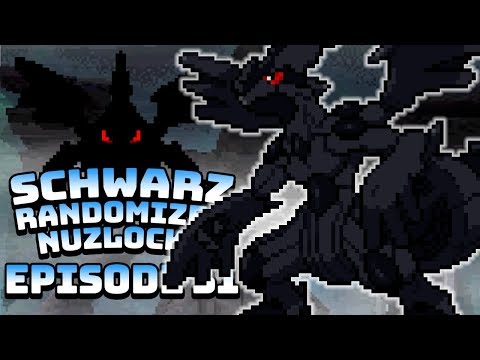 DIE ERSTE BEGEGNUNG! • Pokémon Schwarz Randomizer Nuzlocke [EP 31]