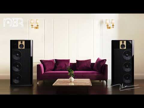 Best Voice & Dynamic Sound - HI RES Audiophile Test - Audiophile NBR Music