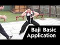 Baji Quan Applications Baji Techniques Baji Qin Na Martial Arts Explained