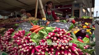 Food Markets - In the belly of the city