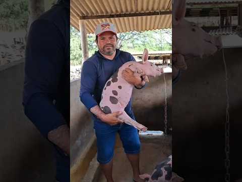 ESSE PIETRAIN É DE RESPEITO! TAPEROÁ - PARAÍBA