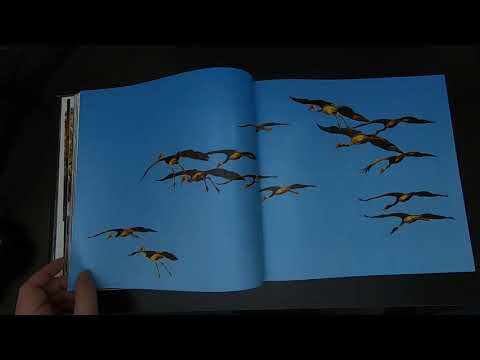 Steve Parish 50 years of Photographing Australia