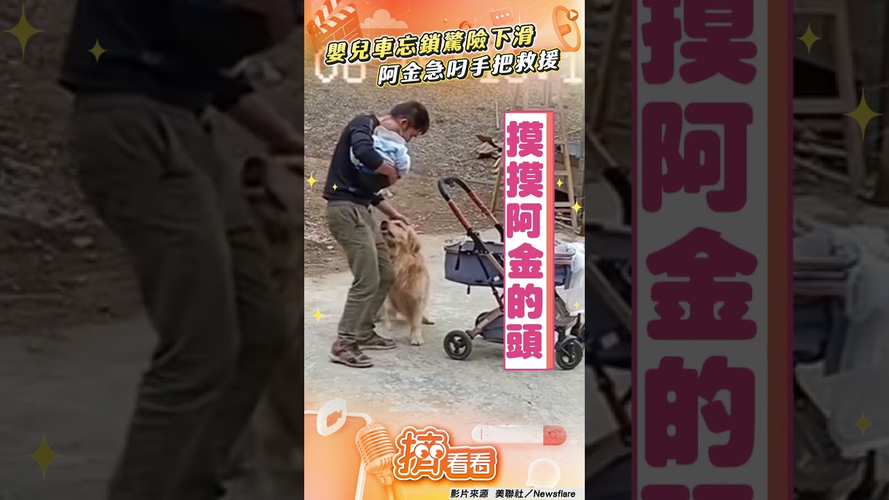 獵犬級保母！機警阿金「咬繩救嬰」　粗心奶爸洗奶瓶...忘記鎖車輪