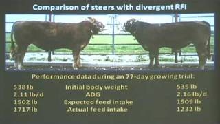 preview picture of video 'Midland Bull Test RFI Seminar - Part One'