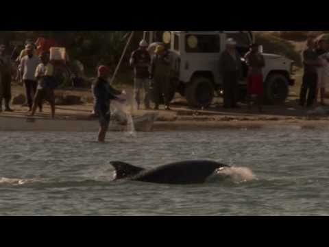 Featuring Badjau sea gypsies and the Pa-aling fishermen (Part 2 of 5)