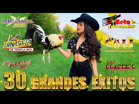 Puro Tierra Caliente Mix 2025 🔥 Tierra Cali / La Dinastia / Gerardo Díaz 💥 Los Mejores Éxitos