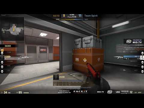 HAVU vs TEAM SPIRIT / ottoNd ace -5