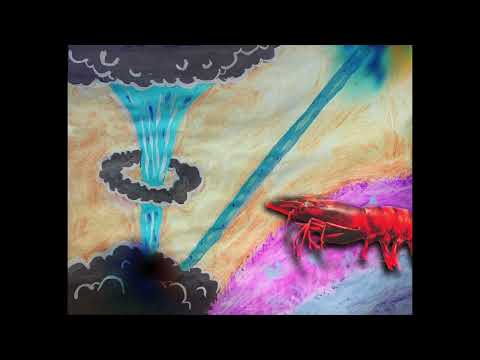 Apocalyptic Drum and Bass for the Prawn