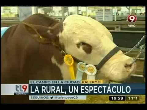download lagu mp3 mp4 La Exposici, download mp3 La Exposici free downloadn, video klip La Exposici