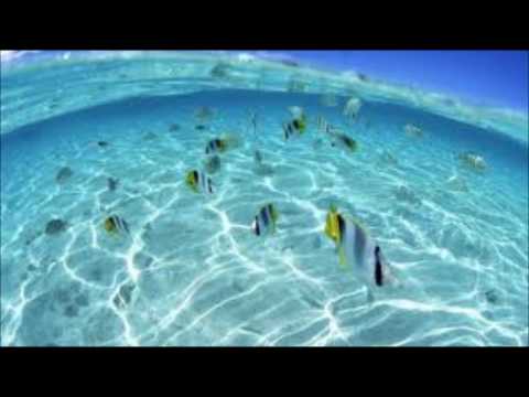 Hotel Costes 9 Jehro   All I Want