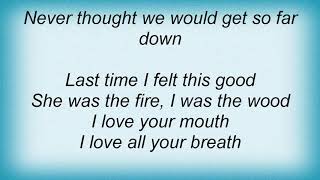 Gavin Rossdale - This Is Happiness Lyrics