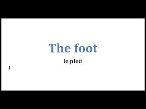 Your hand and your foot