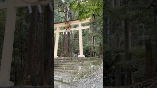 和歌山・那智勝浦 世界遺産 那智の大滝 飛瀧神社の鳥居⛩️ #japan #travel #世界遺産