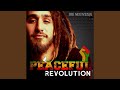 Peaceful Revolution
